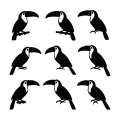Obraz premium A collection of nine stylized toucan birds, depicted in black silhouette against a white background.
