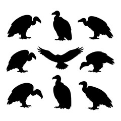 Nine black silhouettes of vultures in various poses, showcasing different perspectives and wing positions.