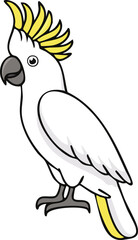 Outlined illustration of a Sulphur-crested Cockatoo, profile view.