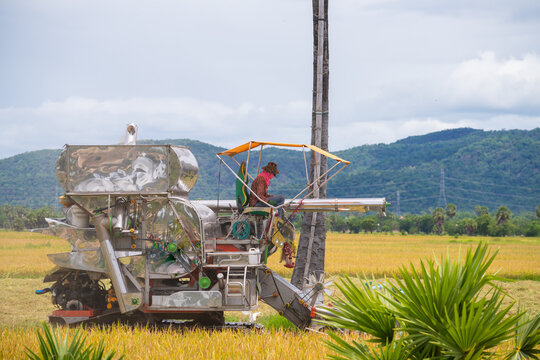 tractor in field