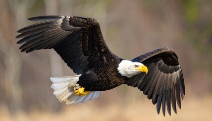 Obraz premium Majestic eagle soaring through the woods