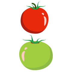 Vector illustration of tomato with tomato tree. Tomato logo.
