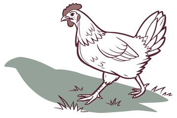 Standing Chicken Shadow Vector