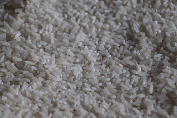 Symbol of Rice Price Using Grains Held in Palm

Handful of Rice Representing Staple Food Value