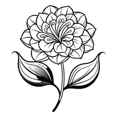 vector illustration of a elastic momordica line art