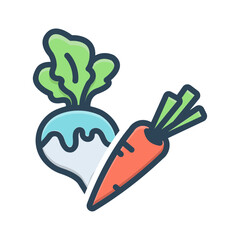 Vector color shadow icon for Roots