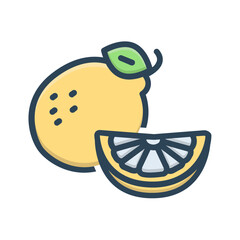 Vector color shadow icon for Citrus fruit