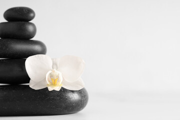 Stack of black spa stones and beautiful orchid flower on light background