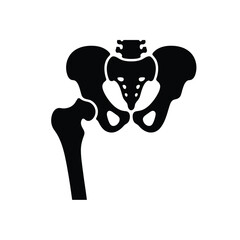 Human hip bone and femur anatomy medical illustration in black and white