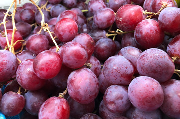 bunch of fresh red grapes