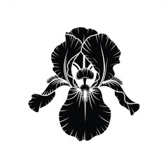 Elegant Iris Flower Silhouette in Black and White for Graphic Design