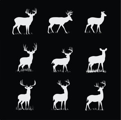 Fototapeta premium whitetail buck silhouette set, Black & White silhouette set