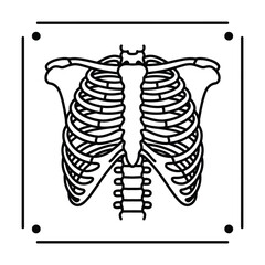 Human Rib Cage Anatomy Outline Illustration in a Square Frame