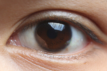 A close-up shot of a human eye with a dark brown iris and visible eyelashes, reflecting a subtle...