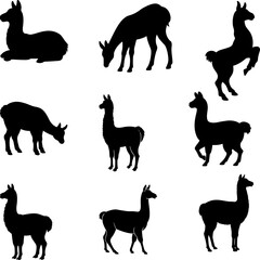  llama silhouette set Stylish llama silhouette set for creative artistic purposes, Llama illustration