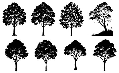 Silhouetted trees of various shapes and sizes set