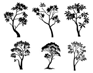 Silhouettes of various trees with different foliage