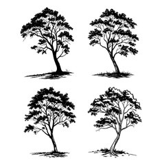 Four sketched trees with detailed foliage design art