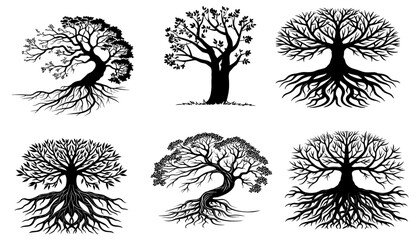 Silhouetted trees with detailed roots and branches