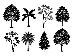 Silhouette illustration of diverse tree species