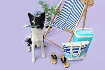 Cute Border Collie dog with passport, deckchair and travelling accessories on lilac background