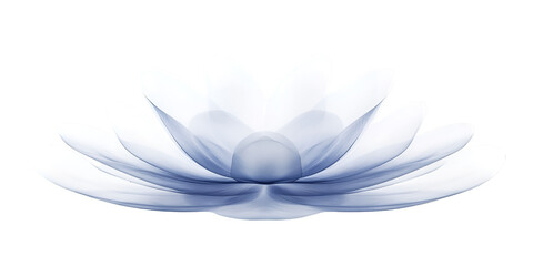 Layered Petal Shapes Arranged in Radiating Pattern Abstract Floral Design Concept