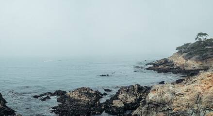 Rocky Coastline in the Fog Panoramic