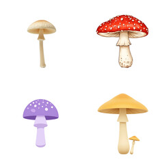 Collage: set of poisonous mushrooms in brown, red and purple tones on isolated transparent background