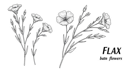 Elegant floral line art vector illustration for botanical designs