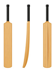 wooden baseball bat