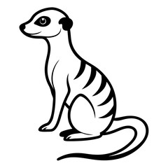 Meerkat on white background