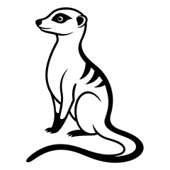 Meerkat on white background