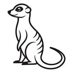 Meerkat on white background