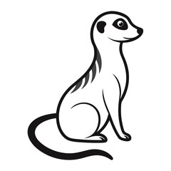 Meerkat on white background