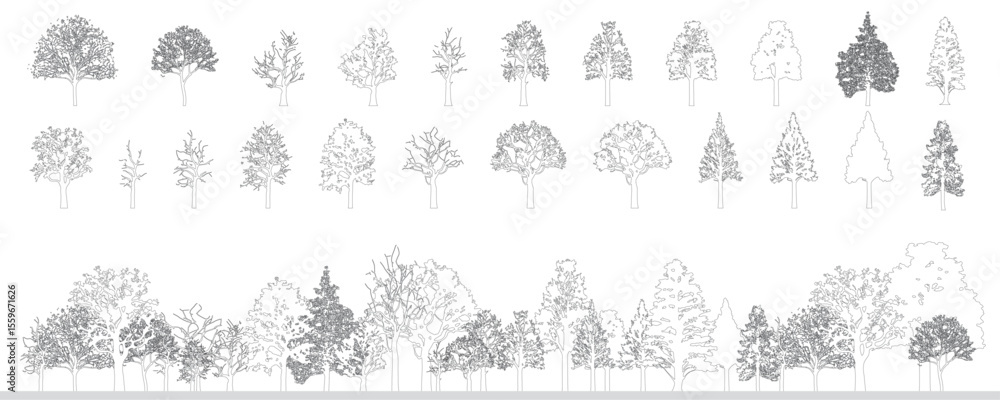 Poster Minimal style cad tree line drawing, Side view, set of graphics trees elements outline symbol for architecture and landscape design drawing. Vector illustration. outdoor forest garden section