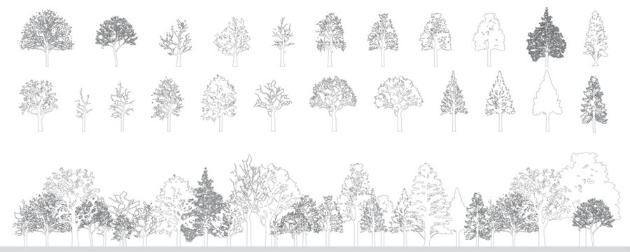 Minimal style cad tree line drawing, Side view, set of graphics trees elements outline symbol for architecture and landscape design drawing. Vector illustration. outdoor forest garden section