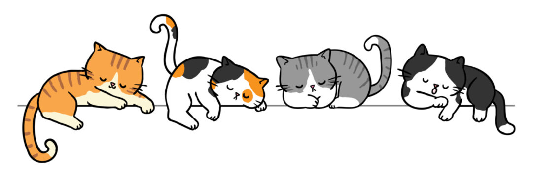 Fototapeta Vector Illustration of Cute Cartoon Cat Characters on Isolated Background. Hand Drawn Vector Illustration.