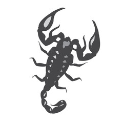 Stylized black scorpion illustration, suitable for themes of danger, power, or as a striking graphic element for tattoos or abstract designs.