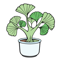 Ginkgo biloba plant in light teal pot. Ornate, stylized ginkgo biloba in a decorative, light teal pot against a plain white background.