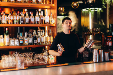 Bartender Shaking Drinks Behind a Well-Stocked Modern Bar
