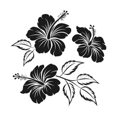 Hibiscus icon silhouette vactor illustration artwork