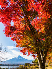 富士山