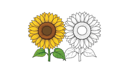 Fototapeta premium Sunflower Coloring Page for Kids and Adults with Colored and Outline Floral Styles