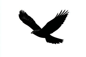 Fototapeta premium Majestic eagle soars in flight against a crisp white background showcasing powerful wings and beak