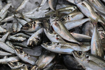 Fresh fish close up at the fish market in Olhao, Portugal  