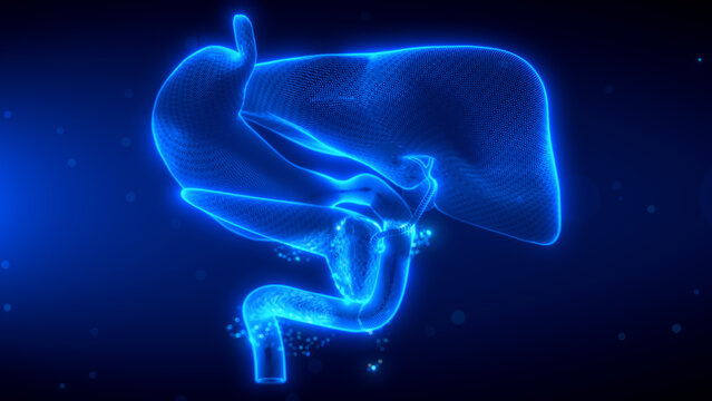 Holographic visualization of the hepatopancreatobiliary system, rendered in a glowing 3D wireframe mesh with scanning particles to show digestive tract and liver anatomy.