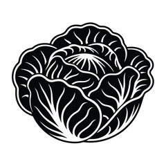 Black and White Cabbage Illustration with Detailed Leaf Veins