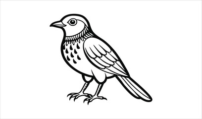 Obraz premium Ornate black and white bird illustration