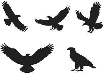 Obraz premium Collection of eagle and hawk silhouettes, flying raptors in nature, predator birds with open wings, wildlife freedom vector illustration art