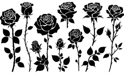 Collection of black rose flower silhouettes with different blooming stages in vector style